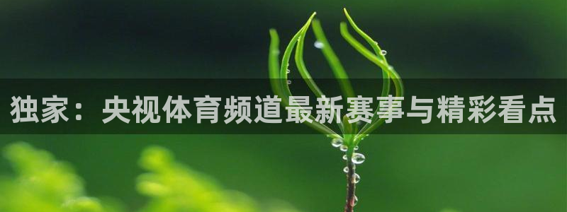 火凤直播nba：独家：央视体育频道最新赛事与精彩看点