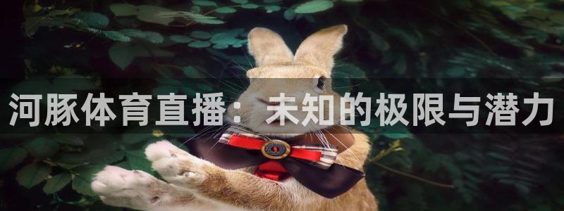 火凤直播体育免费直播火箭：河豚体育直播：未知的极限与潜力