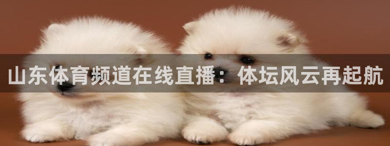 火凤足球比赛直播：山东体育频道在线直播：体坛风云再起航