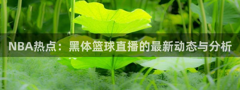 火凤直播体育官网入口在线观看：NBA热点：黑体篮球直播的最新动态与分析