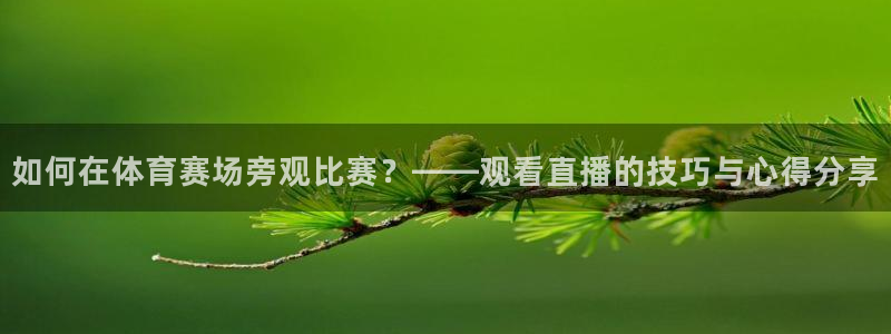 火凤直播足球免费观看：如何在体育赛场旁观比赛？——观看直播的技巧与心得分享