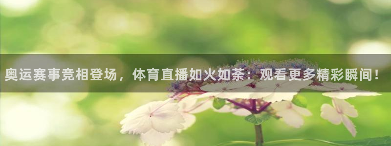 火凤直播体育免费直播：奥运赛事竞相登场，体育直播如火如荼：观看更多精彩瞬间！