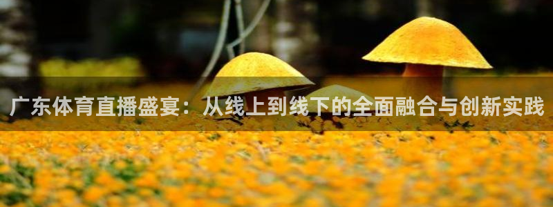 nba直播火凤直播：广东体育直播盛宴：从线上到线下的全面融合与创新实践