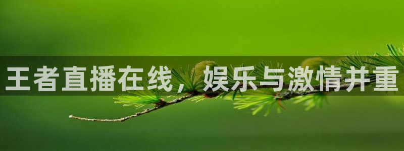 火凤体育赛事直播：王者直播在线，娱乐与激情并重