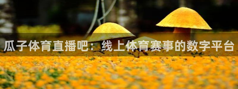 火凤体育：瓜子体育直播吧：线上体育赛事的数字平台