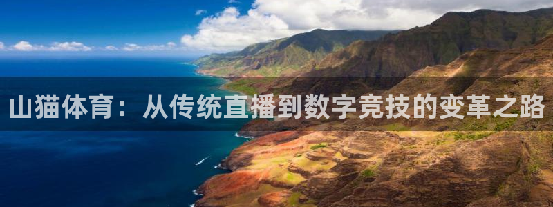火凤直播体育足球：山猫体育：从传统直播到数字竞技的变革之路