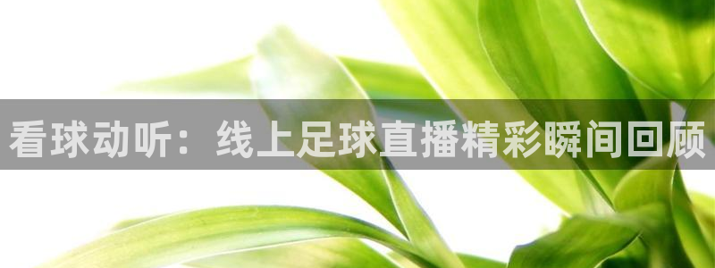 火凤体育直播高清入口：看球动听：线上足球直播精彩瞬间回顾