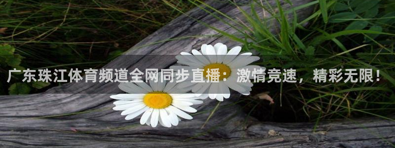 火凤直播体育直播最新赛程：广东珠江体育频道全网同步直播：激情竞速，精彩无限！