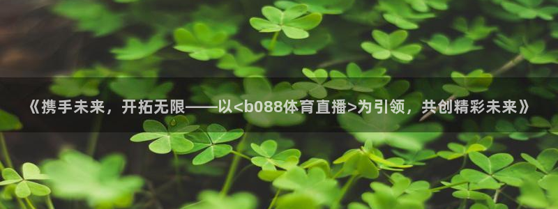火凤足球直播免费观看：《携手未来，开拓无限——以<b088体育直播>为引领，共创精彩未来》