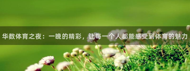 火凤直播体育：华数体育之夜：一晚的精彩，让每一个人都能感受到体育的魅力