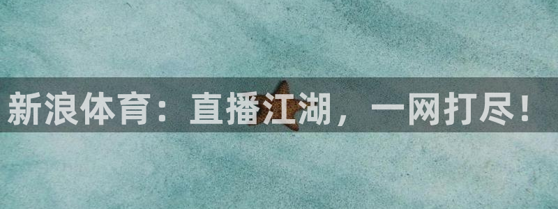 火凤体育直播免费比赛：新浪体育：直播江湖，一网打尽！